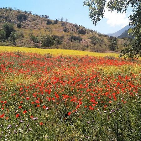 Magina Dream La Guardia Turismo Rural La Guardia de Jaén Εξωτερικό φωτογραφία
